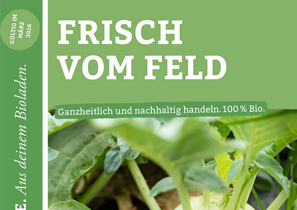 Angebotsflyer öffnen